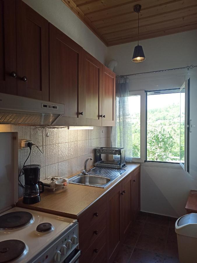 プラマンタ Elli΄S House Συγχρονο Σπιτι Στα Πραμανταヴィラ エクステリア 写真