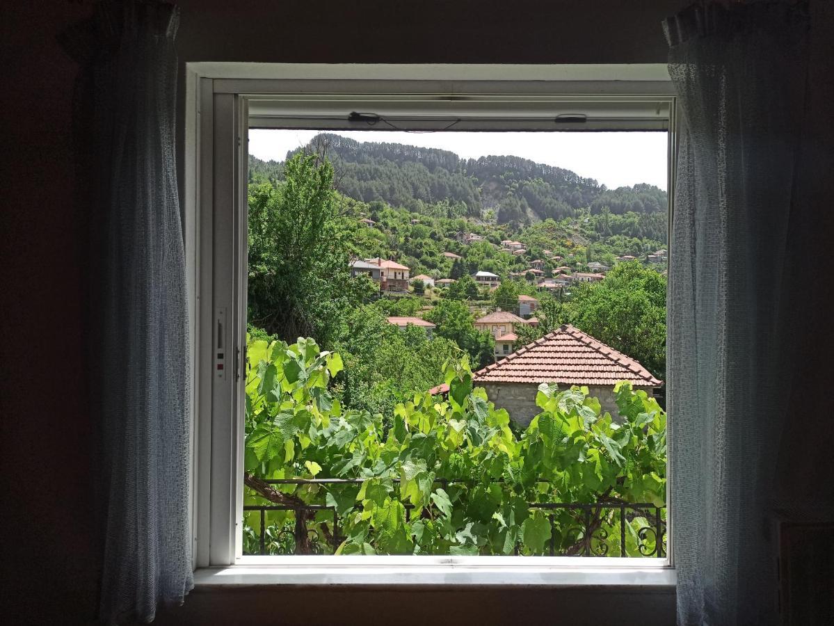 プラマンタ Elli΄S House Συγχρονο Σπιτι Στα Πραμανταヴィラ エクステリア 写真
